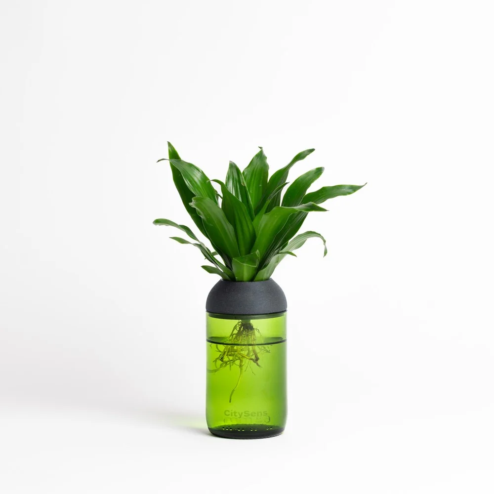 Jardineras de Terracota Esmaltada Macetero Transparente Citysens Con Soporte De Pino – Verde, Vidrio Reutilizado Y Biofila...