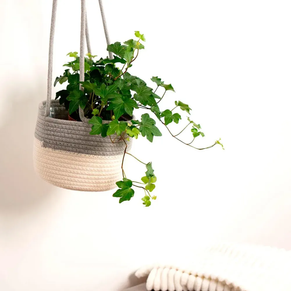 Macetero colgante MOA Vinthera diseño bicolor blanco/gris Ø18x16 cm (Set de 3)