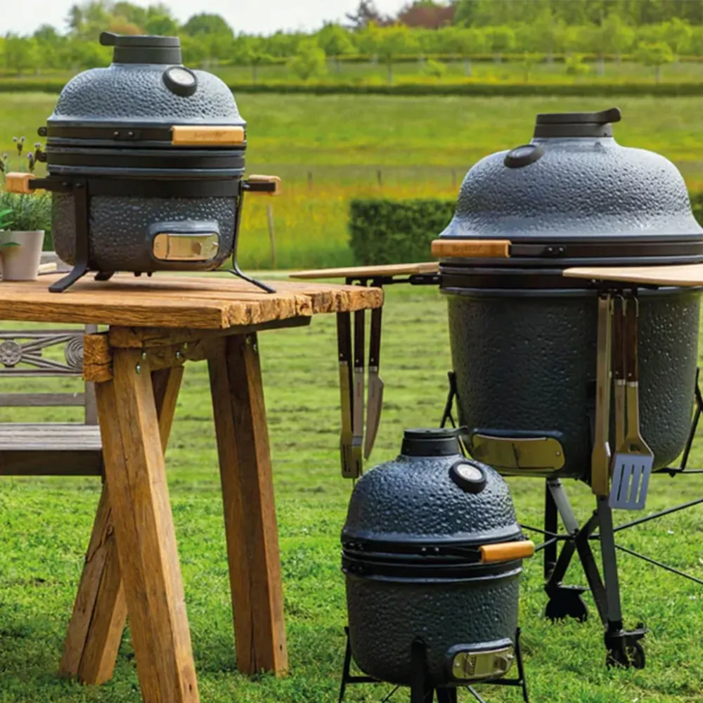 De cerámica charcoal barbecue and Berghoff oven
