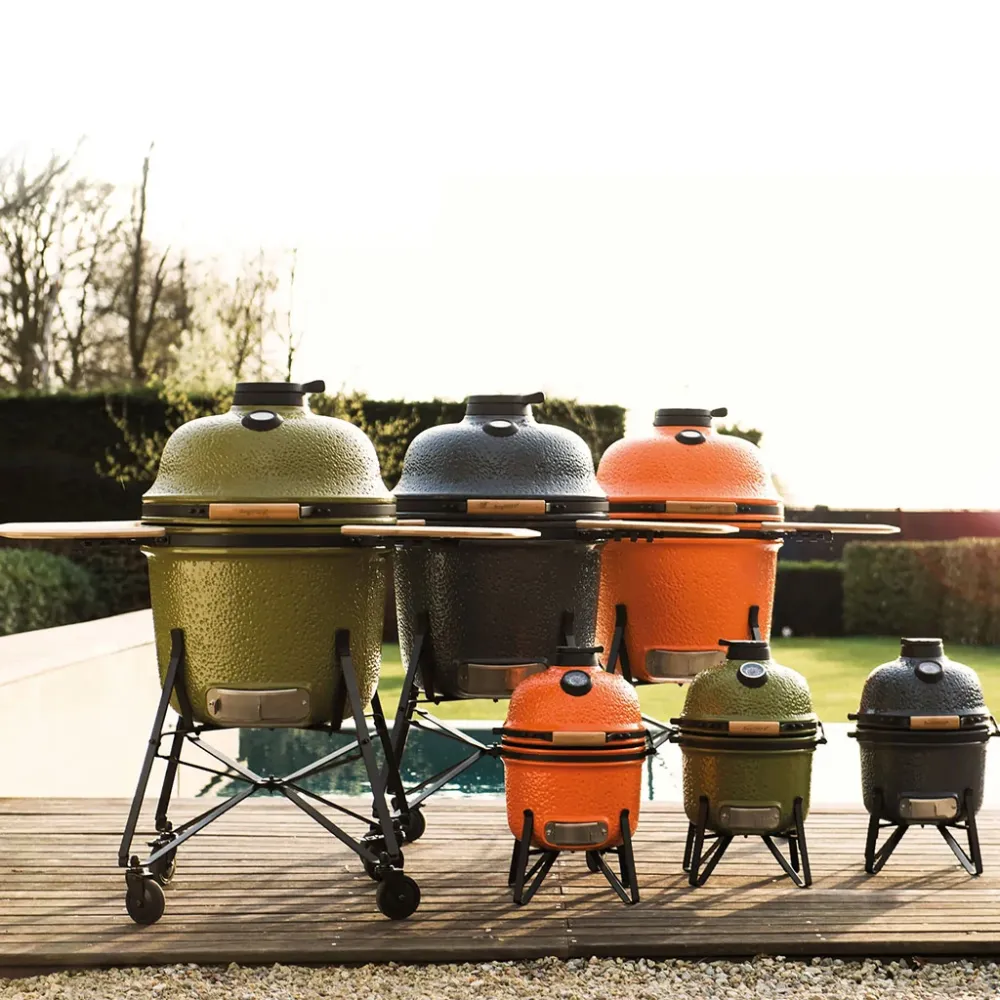 De cerámica charcoal barbecue and Berghoff oven