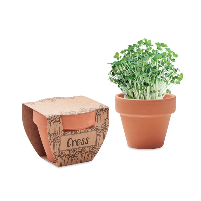 Maceta Ecológica de Terracota con Semillas de Berro para Personalizar Made Europe Destacado Regalo de Empresa Cress Pot