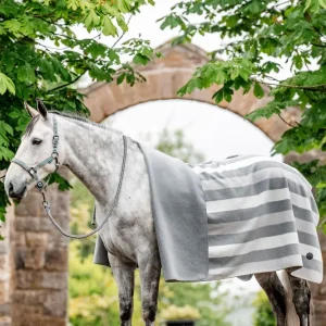 Newmarket Tela suave Manta de Secado (Square) Witney Charcoal F