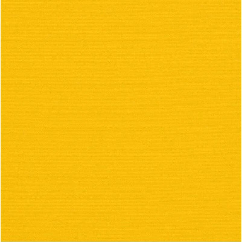 Adoquín de Jardín Americana patio paint DCP20 sunflower mostaza