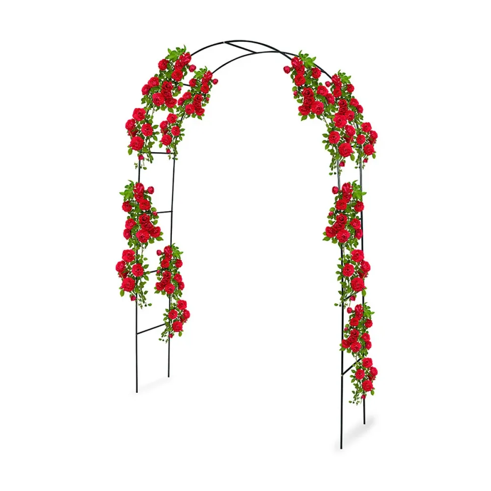 Borde para Césped Arco de Jardín Kinzo 240 x 140 cm Metálico Rosas
