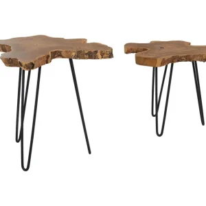 Mesa de Centro Conjunto de 2 mesas de centro de madera de java oscura/negro CAMROSE