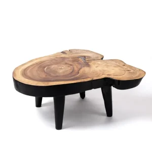 Mesa de centro de madera maciza natural de teca Bau Bau tronco rustico, hecho mano acabado auténtico con detalles en negro...
