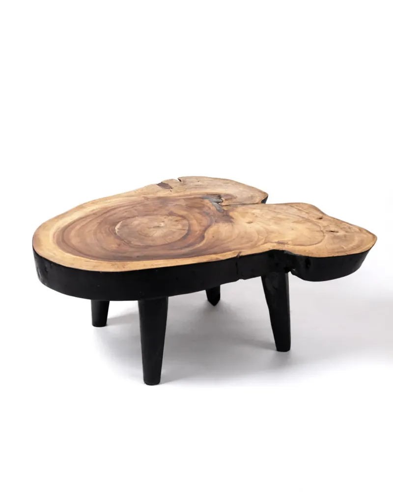 Mesa de centro de madera maciza natural de teca Bau Bau tronco rustico, hecho mano acabado auténtico con detalles en negro...