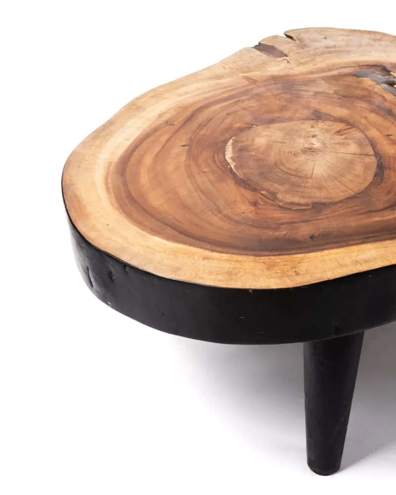 Mesa de centro de madera maciza natural de teca Bau Bau tronco rustico, hecho mano acabado auténtico con detalles en negro...