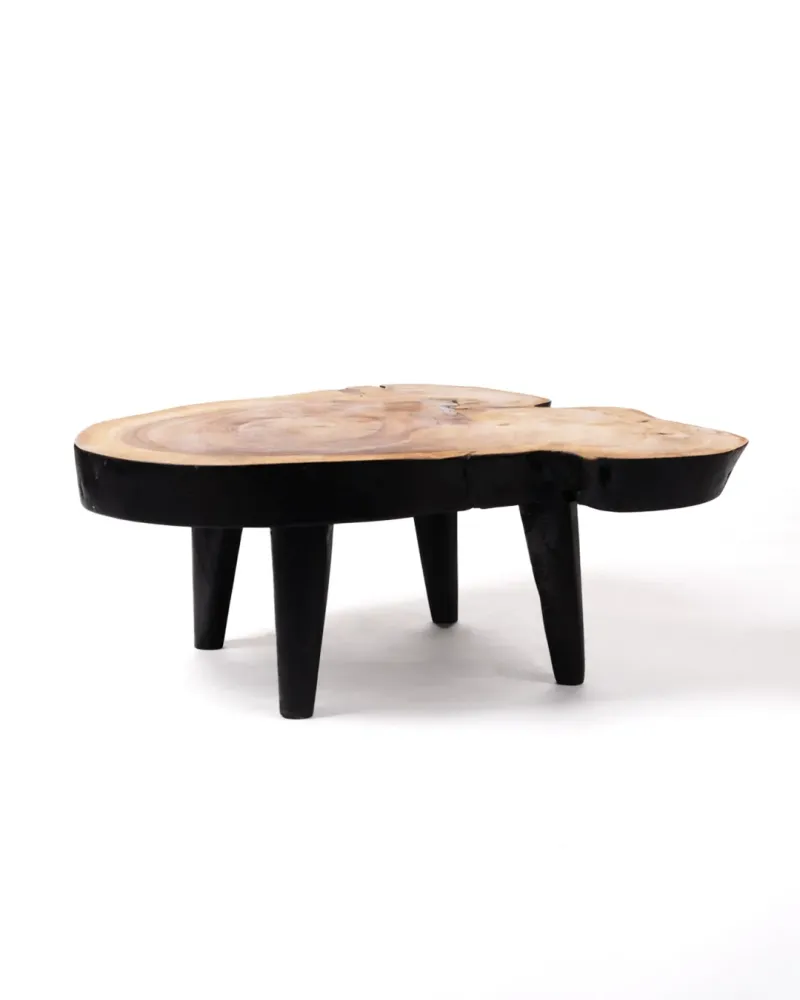 Mesa de centro de madera maciza natural de teca Bau Bau tronco rustico, hecho mano acabado auténtico con detalles en negro...