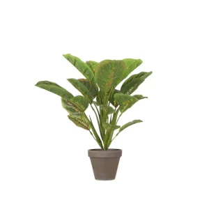 Planta artificial CALATHEA marca MICA DECORATIONS | Resistente la Intemperie |