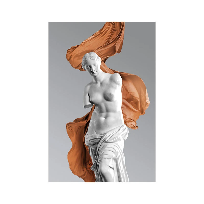 Escultura de Animales Lienzo de estatua blanca para pared, decoración de pared con textura moderna de Venus De Milo para d...