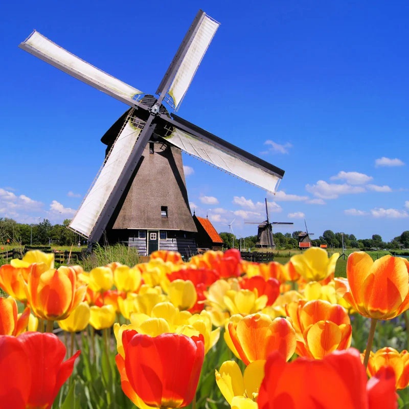 Grote statische windmolen muurschildering behang vanguardista landschap wanddecoratie lichte kleur