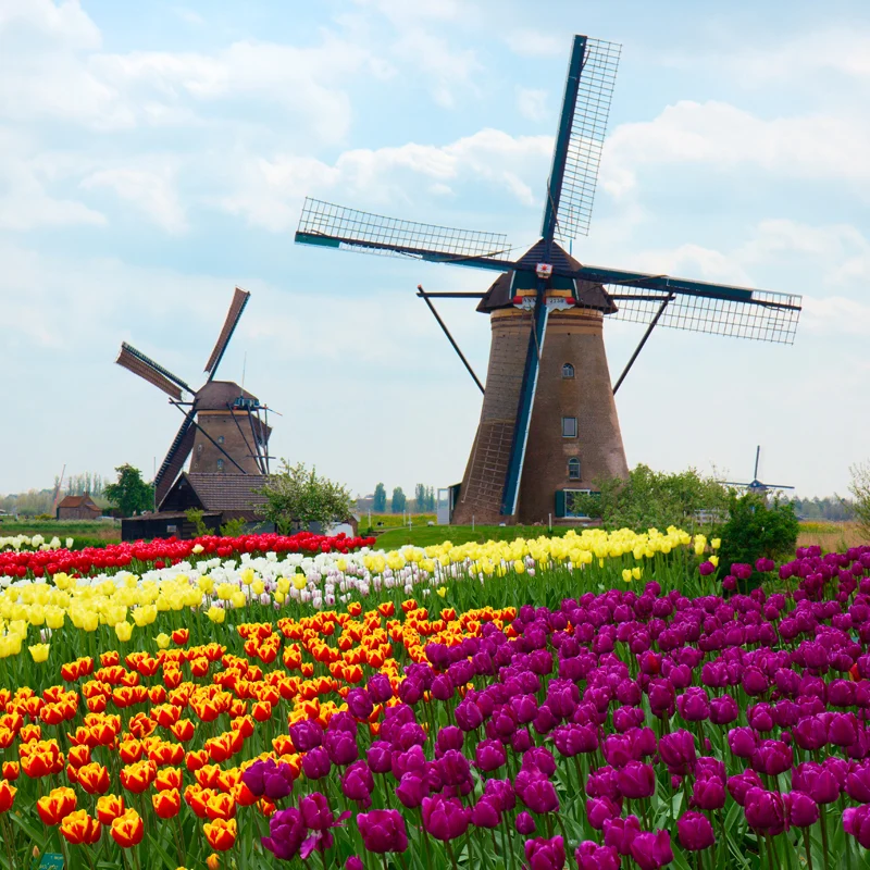 Grote statische windmolen muurschildering behang vanguardista landschap wanddecoratie lichte kleur