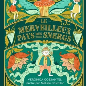 Le Merveilleux Pays des Snergs