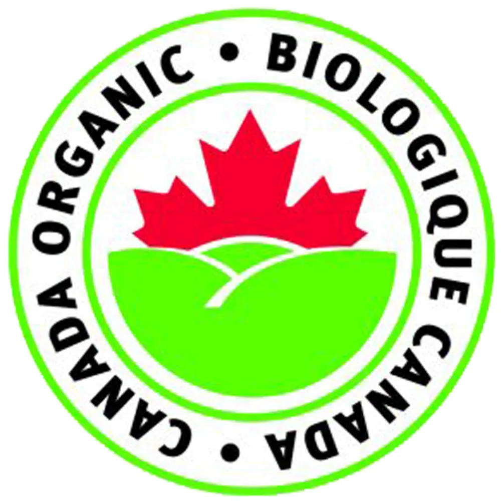 Les Savoureux assaisonnements - Assaisonnement biologique - Indien