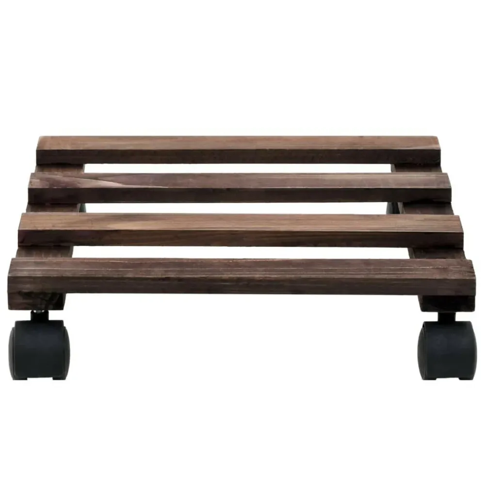 Profesional Hidropónico Rulli per piante Glistra | Legno di cedro