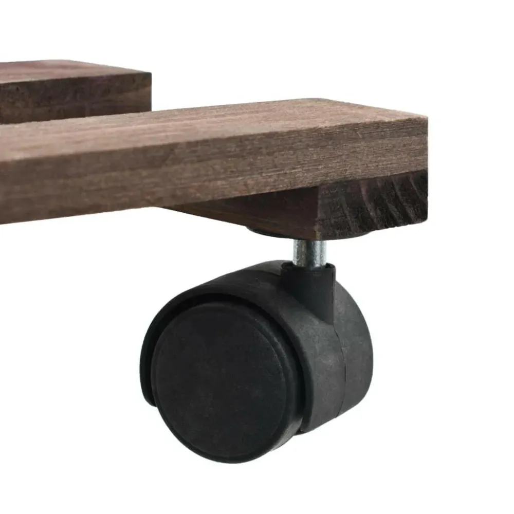 Profesional Hidropónico Rulli per piante Glistra | Legno di cedro