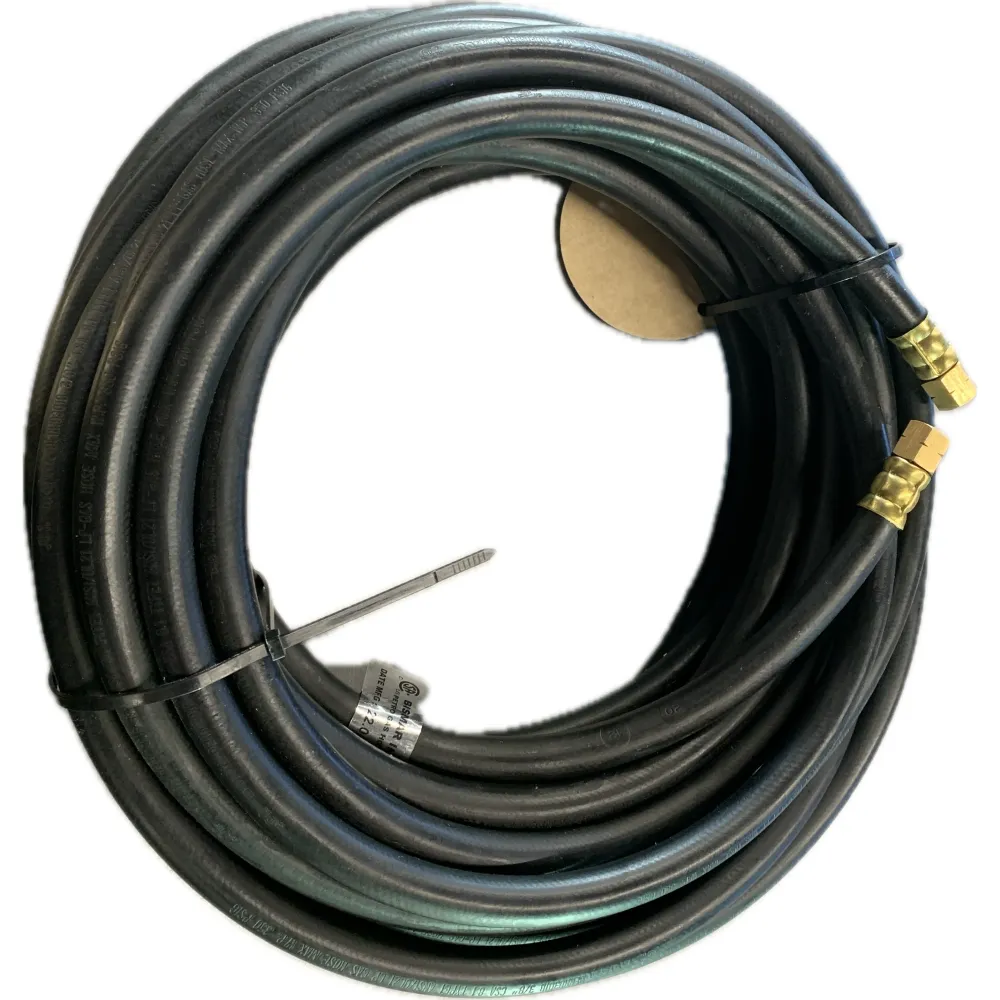 Martin -10HP6-20' Boyau 3/8 3/8MPT x 3/8 FFL.SW