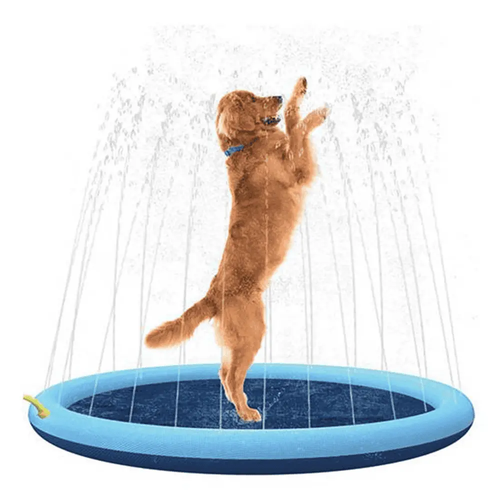 Piscina para Perros Splash Inflable con Chorros Wouapy 150 cm con Bomba de Filtrado