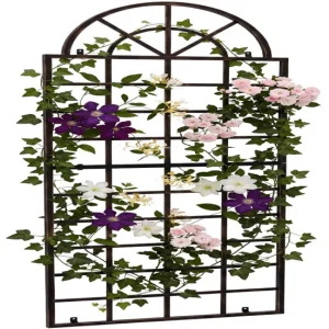 Reja para Plantas Trepadoras Viva Metálico Bronce X70X180 cm Resistentes Sequí