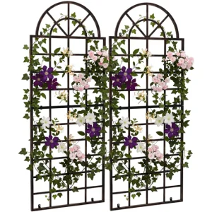 Set de 2 vallas metálicas viva para plantas trepadoras Acero Bronce 5X70X180 cm de Temporada de Primavera
