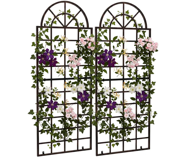 Set de 2 vallas metálicas viva para plantas trepadoras Acero Bronce 5X70X180 cm de Temporada de Primavera