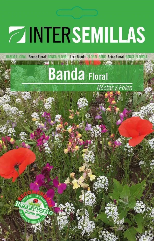 Banda Floral Nectar Y Polen Sobre De Semillas para Zona de Sombra