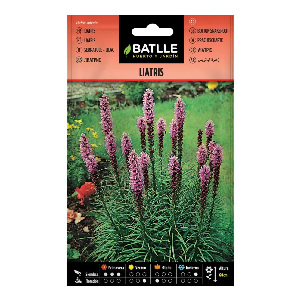 Semillas de Liatris Batlle | No Transgénicas |