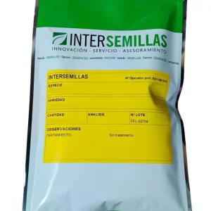 Semillas Phacelia Tanacetifolia 100g para Zona de Sombra