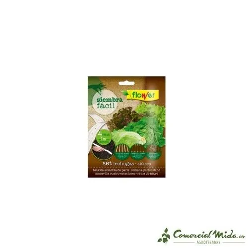 Set de Hierbas Siembra Cómodo FLOWER Semillas de Lechugas