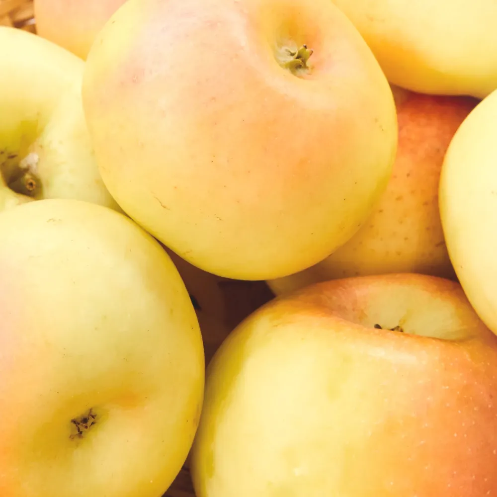 Manzano 'Verde Doncella' (Malus Domestica) con Instrucciones de Cultivo