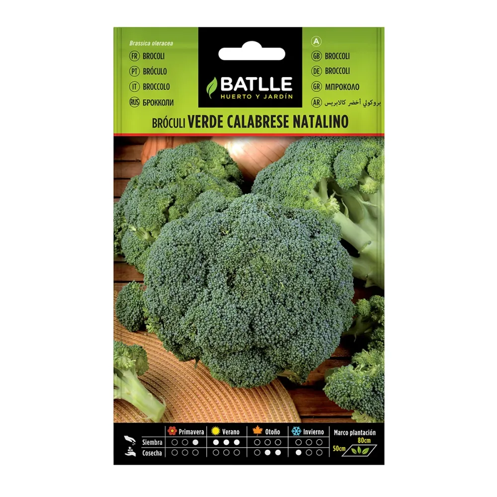 Bulbos de Floración Semillas de Brócoli verde Calabrese Batlle