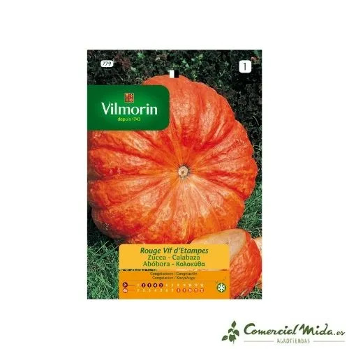 Bulbos de Floración VILMORIN Semillas de CALABAZA ROJO VIVO ETAMPES 7 gr