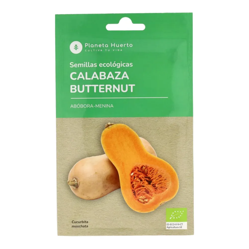 Planta de Interior Semillas de Calabaza Butternut ecológicas Planeta Huerto