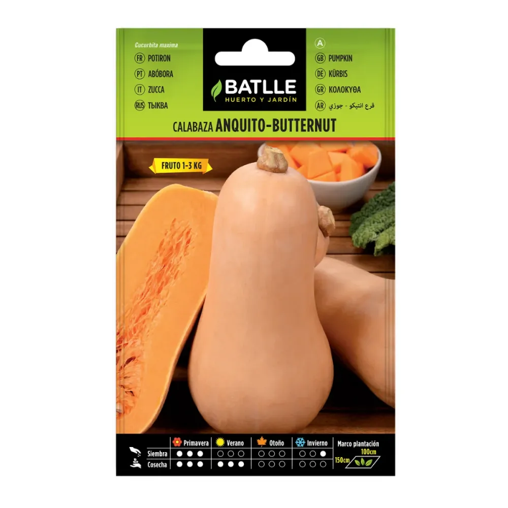 Resistente la Intemperie Semillas de Calabaza Anquito-Butternut Batlle