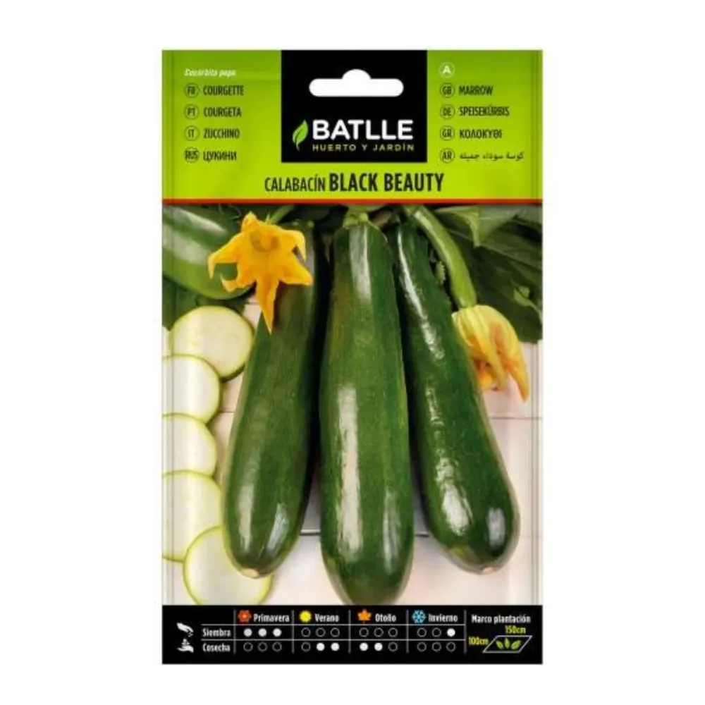 Semillas de Calabacín Azabache Beauty Cultivers Batlle
