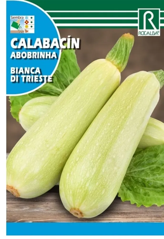Semillas Calabacín Blanco Di Trieste 25g para Zona de Sombra