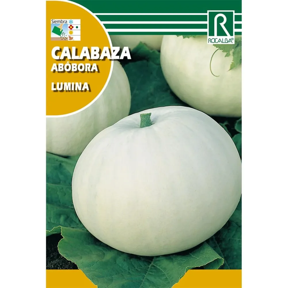 Semillas de Calabaza lumina Certificadas Ecológicas