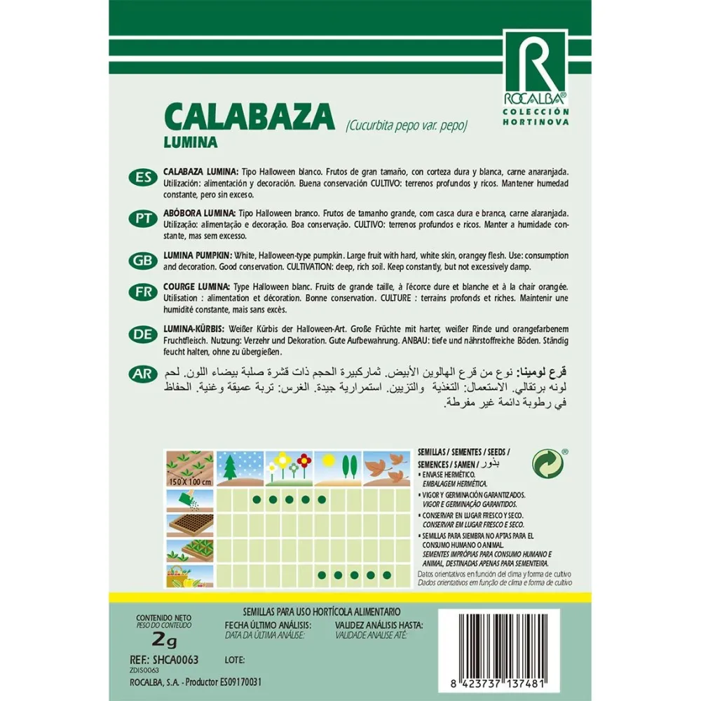 Semillas de Calabaza lumina Certificadas Ecológicas
