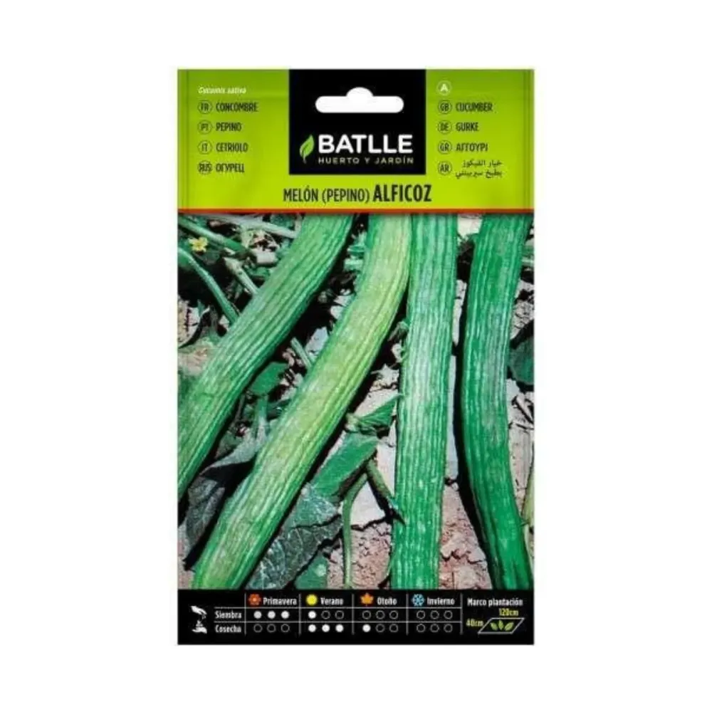 Semillas de Pepino Alficoz Batlle en Sobre de 50 Semillas
