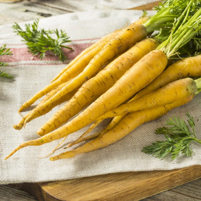 Variedad Autóctona de Zanahorias Amarillas
