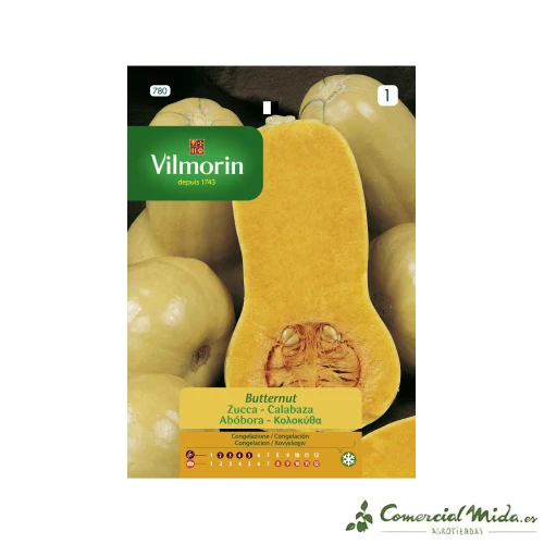 Variedad de Jardín Semilla Calabaza Butternut 7gr VILMORIN