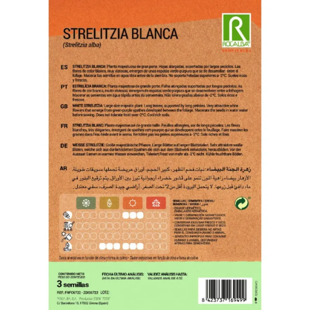 Variedad de Jardín Semillas de Strelitzia blanca