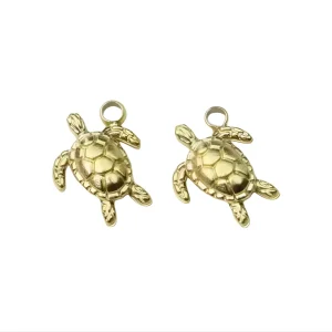 Tortuga, Carey, Stainless Steel, Charm y Pendant