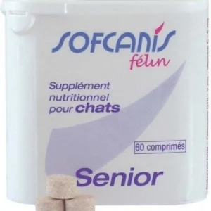 Sofcanis Chat Sénior