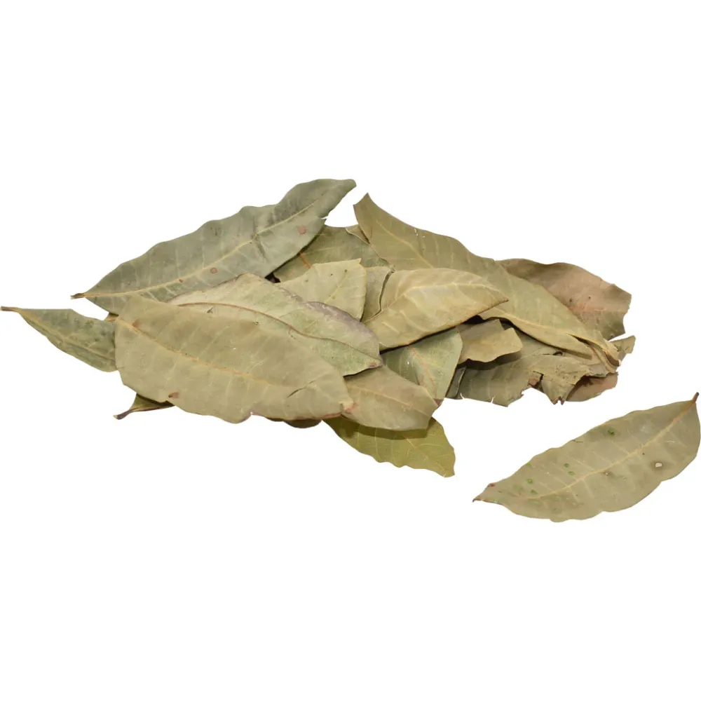 Bolsa de hojas secas de longan de Komodo Komodo Reptile
