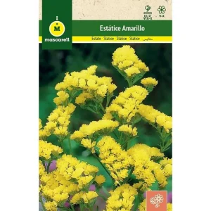Semillas Estatice Sinuata Amarillo con Instrucciones de Cultivo