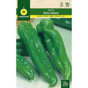 Semillas Pimiento Dulce Italiano Listas para Plantar
