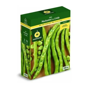 Variedad Autóctona de Semillas Haba Muchamiel Linda