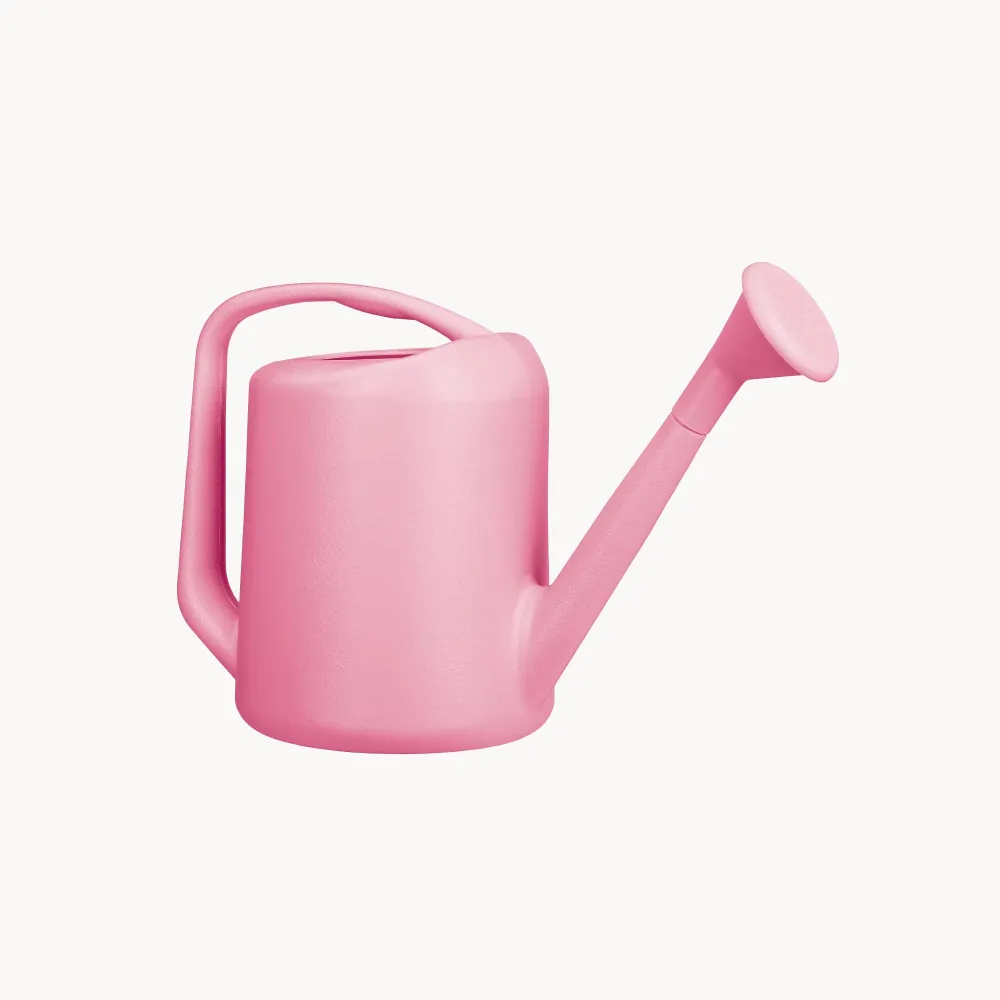 Alta Presión Regadera Medium magenta